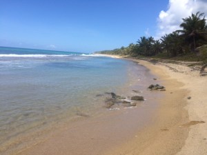Playa Grande2