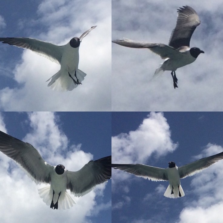 27135A43-4D1E-4A00-BF55-B64395070A25