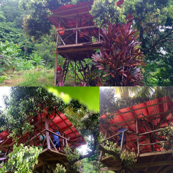 c1836003-e35b-4f71-9134-ca80ff9c3d43